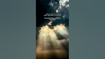 وإذ قال الله ياعيسى ابن مريم أأنت قلت للناس اتخذوني وأمي إلهين | الآية 116 من سورة المائدة