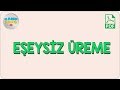 Eşeysiz Üreme | Kamp2020