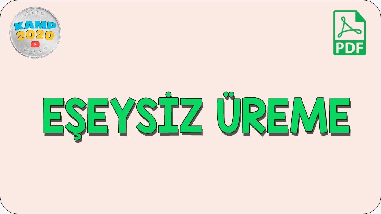 eseysiz ureme kamp2020 youtube