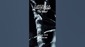 Surah Al-Qamar 18-22: English Audio Translation | سورة القمر