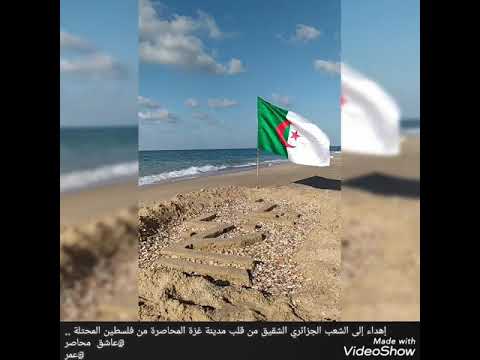 وعقدنا العزم على أن تحيا الجزائر من قلب مدينة غزة فلسطين سلام إلى الجزائر