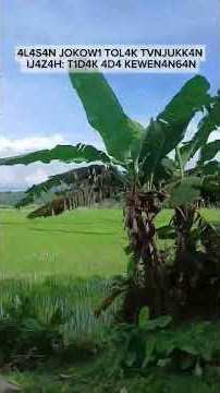 4l454n j0k0w1 t1d4k m4u tunjuk1n 1j4z4h 4sl1 k4r3n4 t1d4k 4d4 k3w3n4ng4n