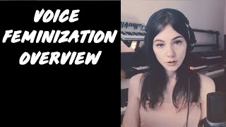 The Big Picture of Voice Feminization | A Comprehensive Overview | Lecture & Demonstration