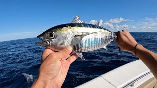 Yellowfin Tuna Light Tackle Casting/Jigging (Oregon Inlet Offshore Fishing)