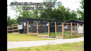 3 Acre Dog Rescue in Splendora TX - Sweet Life Rescue Center