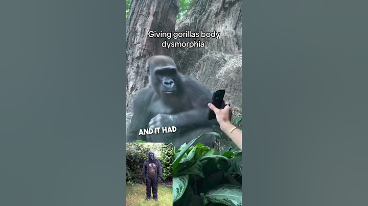 This gorilla has the most human reaction ever 😂