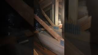 No insulation in newer home attic
