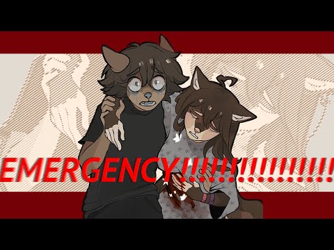EMERGENCY!! Animation Meme
