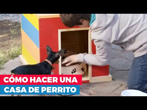 Cómo hacer una casa de perro? youtube