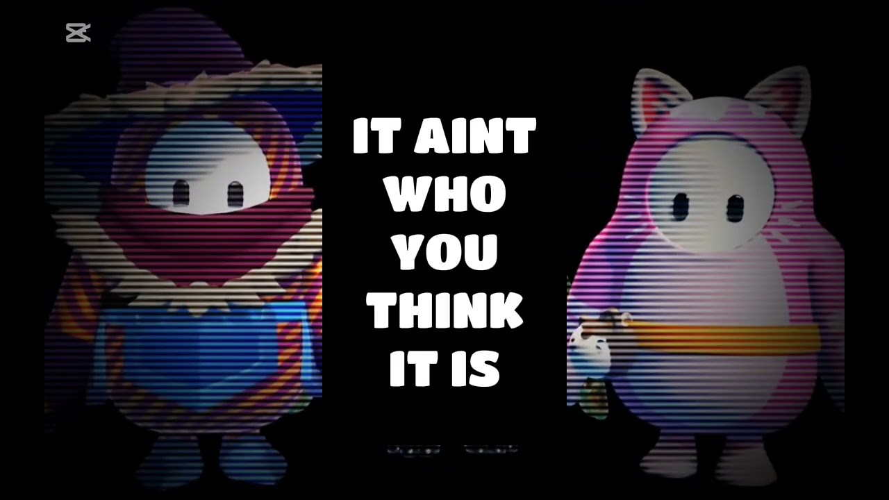 ‪@PurrfectFallGuy‬