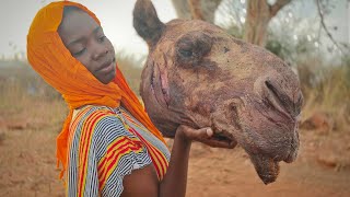 I cooked For My Husband A Camel In The Village