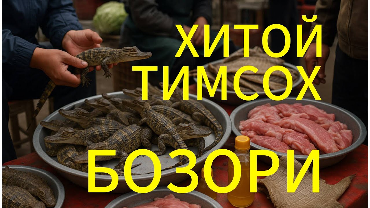 ХИТОЙ КАШГАР БОЗОРИДА ТИМСОХЛАР