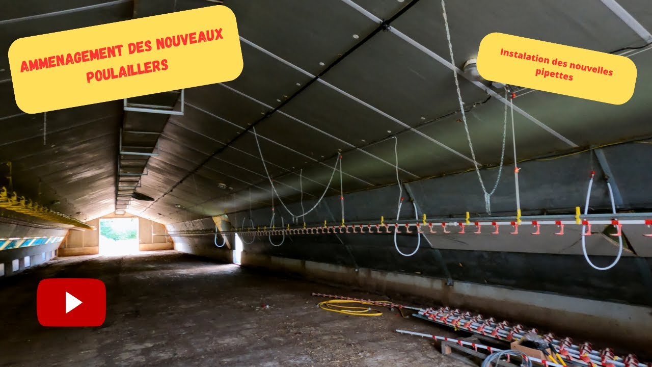 aménagement nouveau poulaillers