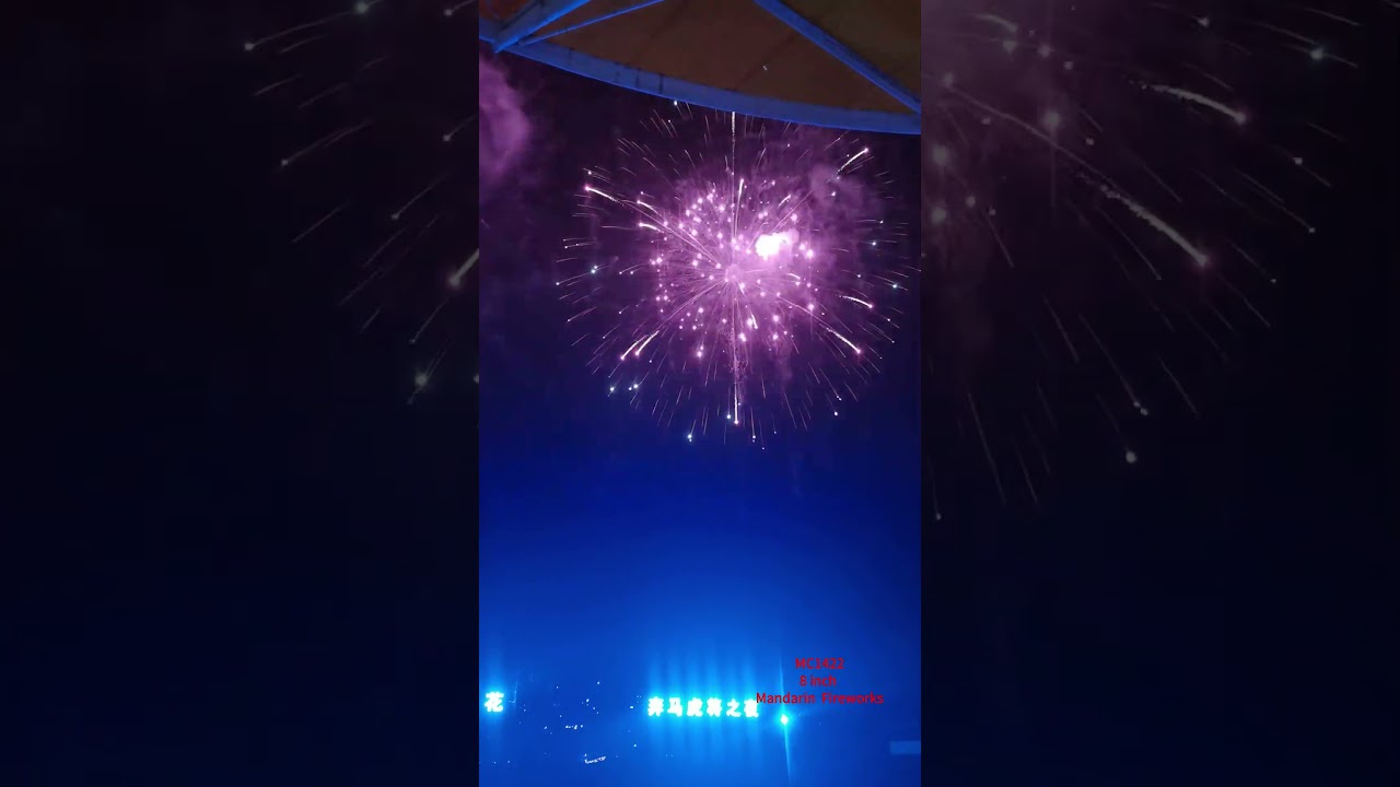 Chinese factory 8 inch display shells fireworks 