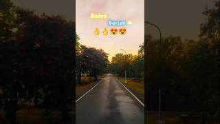 Monsoon Magic in BALCO Korba | Beautiful Rainy Views in Chhattisgarh# the knawar cg vlogs