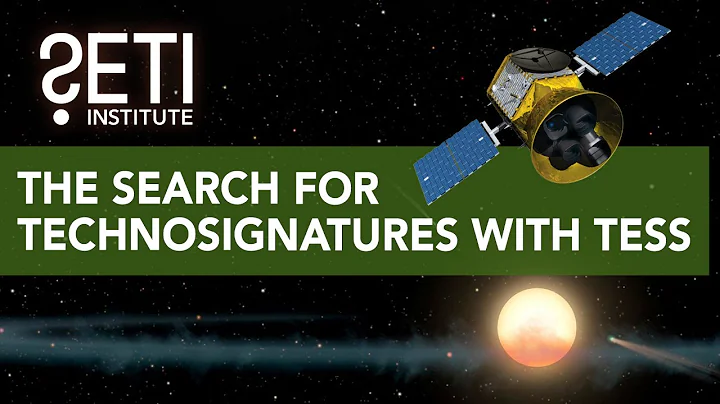 REU: The Search for Technosignatures with TESS