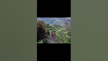 Drone Cfly Faith 2 Pro Droni Dalam Pepohonan Hutan Bukit Manjai Kalimantan Selatan