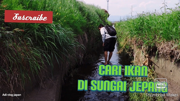 Cari ikan di sungai jepang., #vlogjepang