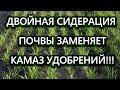 Двойная сидерация почвы заменяет камаз удобрений!!!