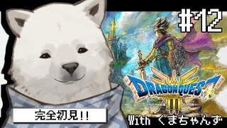 【ドラクエ3リメイク】完全初見！くまちゃんずと冒険に行くんだ ※概要欄要チェック【Vtuber/うめまろ】#12