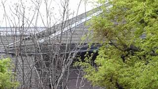 20120420(ウグイス①).mpg
