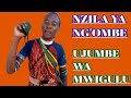 NZILA YA NG OMBE UJUMBE WA MWIGULU 0781590734 Msambazaji Jileka Mapanda TV 2025