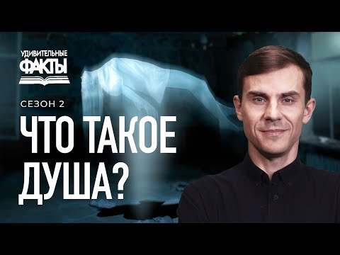 Что такое душа? Бессмертна ли душа? Тайна загробной жизни души | Удивительные факты 2 сезон (9/31)