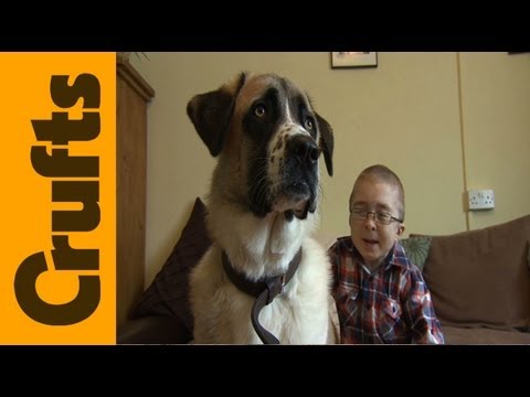 Owen & Haatchi | Friends For Life 2013 Winners