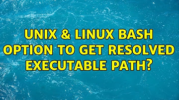 Unix & Linux: Bash option to get resolved executable path?