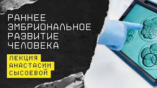 От оплодотворения до бластоцисты: эмбриональное развитие в первые 6 дней | Анастасия Сысоева