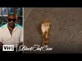 Puma, Walt & Ceaser React to Puma Dropping the Chicken Wing | Black Ink Crew