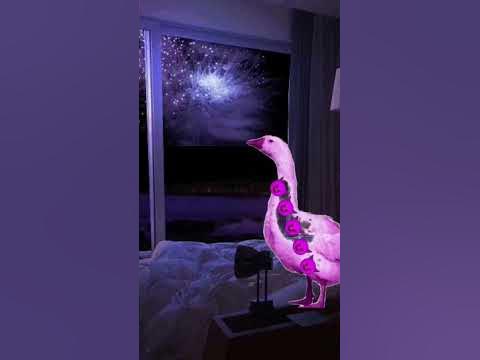 розовый гусь - YouTube