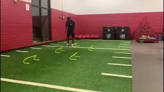 Multi Directional Hurdle Hops