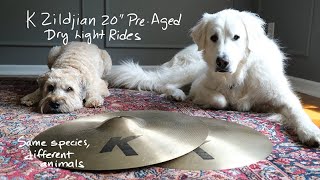 K Zildjian 20" Pre-Aged Dry Light Ride x2