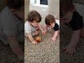 Funny baby twins brothers fighting for the apple - Funny Twin Video