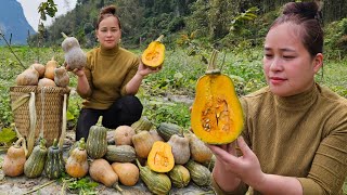 Harvest Pumpkin Seeds - Cook pumpkin for pigs & dogs - Cooking - Meeting Ly Phuc An.