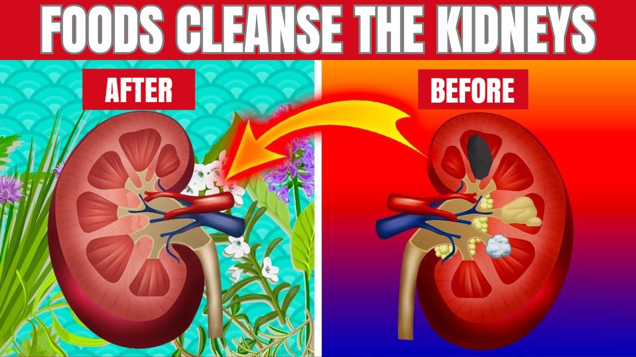 10 Foods That Will Cleanse Your Kidneys| Hab Healthy - YouTube