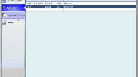 WPF Extended DataGrid