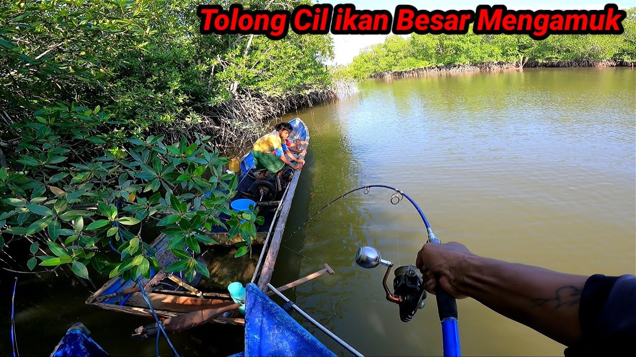 ini Lah Bukti Nyata Kalau Sudah Rejeki Tidak Bisa Di Hindari