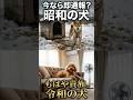 【今なら即通報?】昭和の犬の暮らしが過酷すぎて笑えないw