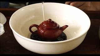 Chinese Tea: Brewing Zhu Ke Rou Gui 2019 Teo Chew Style