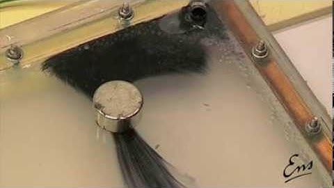 Dynamo 10: Lorentz Force in a Fluid