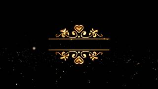 Wedding Intro Video Background Free - Border Gold Text