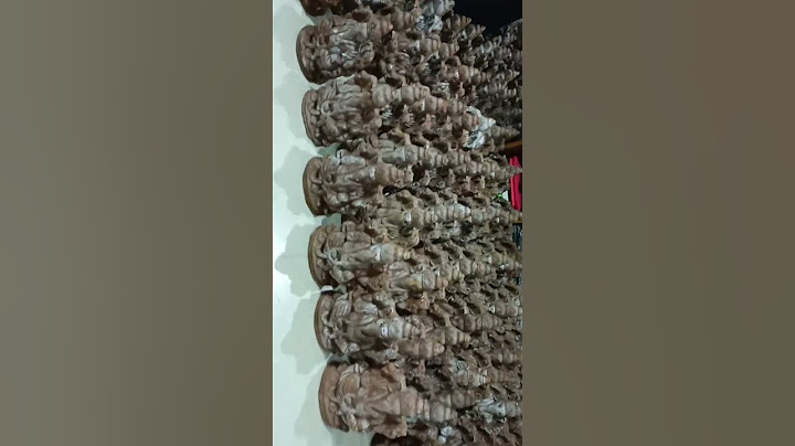 Ganesh distribution in my house