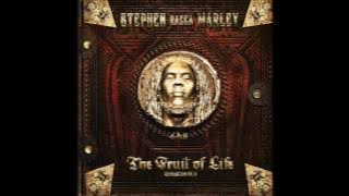 Stephen 'Ragga' Marley - 'So Strong' ft. Shaggy