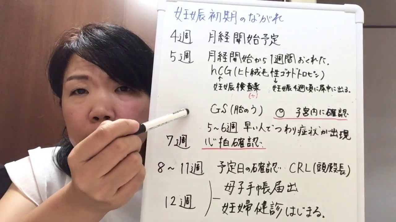 助産師が伝える おうちでマタニティクラス 母親学級 妊娠初期について Youtube