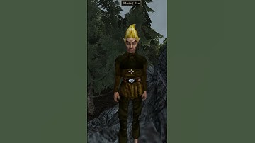 Killing the adoring fan in Morrowind every day until Skywind and Skyblivion are released Day - 323