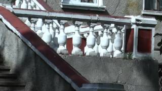 картинка: Вулиці села Більшівці 2012 09 12