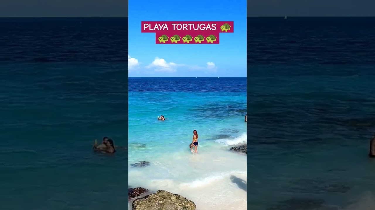 PLAYA TORTUGAS CANCÚN