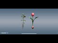 المقارنه بين ثنائيات الفلقه وأحاديات الفلقه
